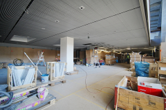 OMS-fevrier-2025-117