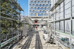 OMS-fevrier-2025-84